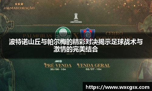 波特诺山丘与帕尔梅的精彩对决揭示足球战术与激情的完美结合