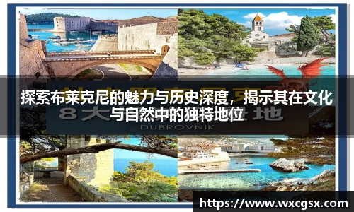 探索布莱克尼的魅力与历史深度，揭示其在文化与自然中的独特地位